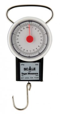 How to Measure the Resistance of Strength Bands